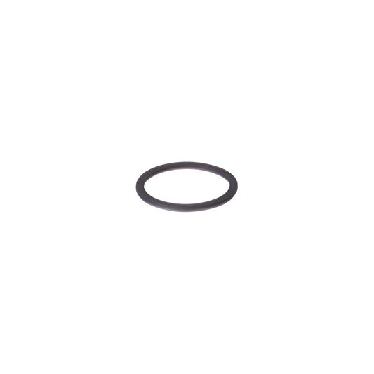 Black O-ring on a white background